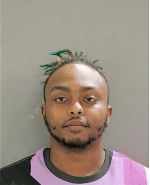 DARYL W DENNIS, Cook County, Illinois