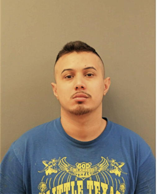 OMAR A DIAZ, Cook County, Illinois