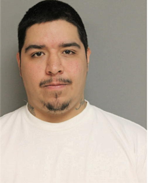 JESUS A GONZALEZ, Cook County, Illinois