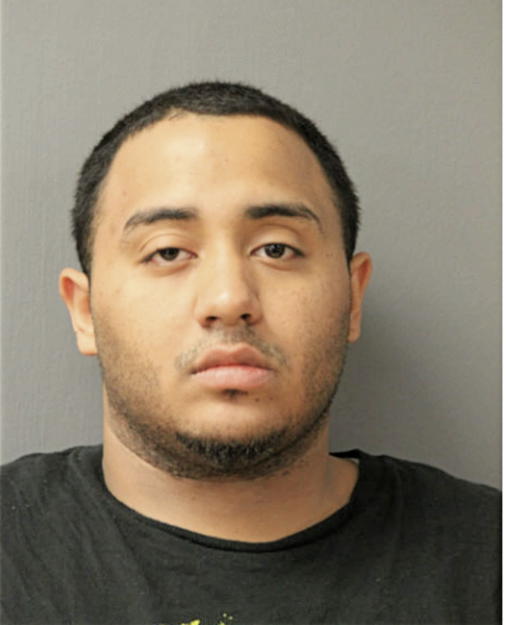 JOSE L GONZALEZ, Cook County, Illinois
