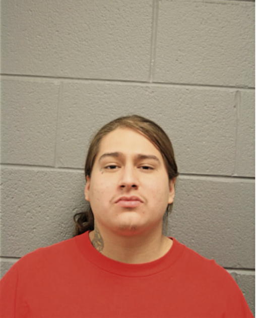 NOEL HERNANDEZ, Cook County, Illinois