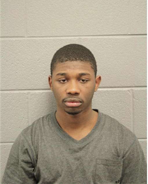 MICAH T JOHNSON, Cook County, Illinois