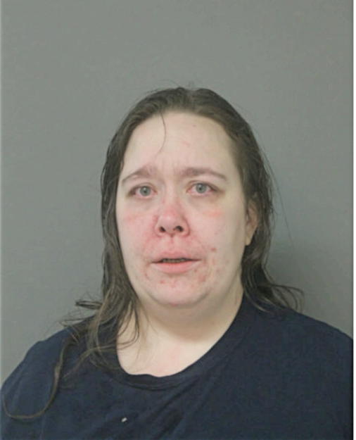 NINA M KITTINGER, Cook County, Illinois