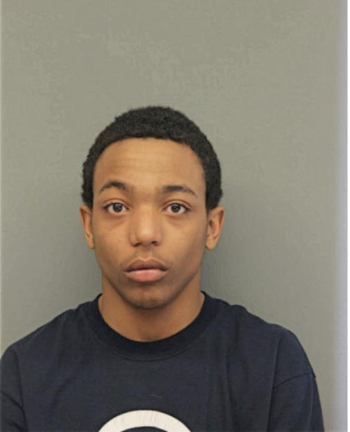 TRISTAN LOTT, Cook County, Illinois