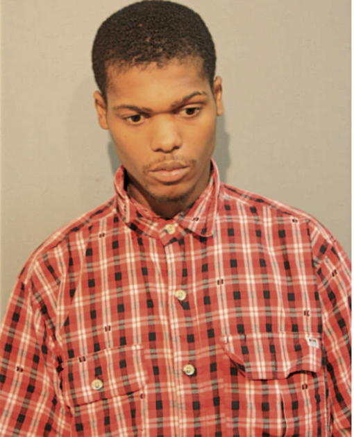 MARK L MANNIE, Cook County, Illinois