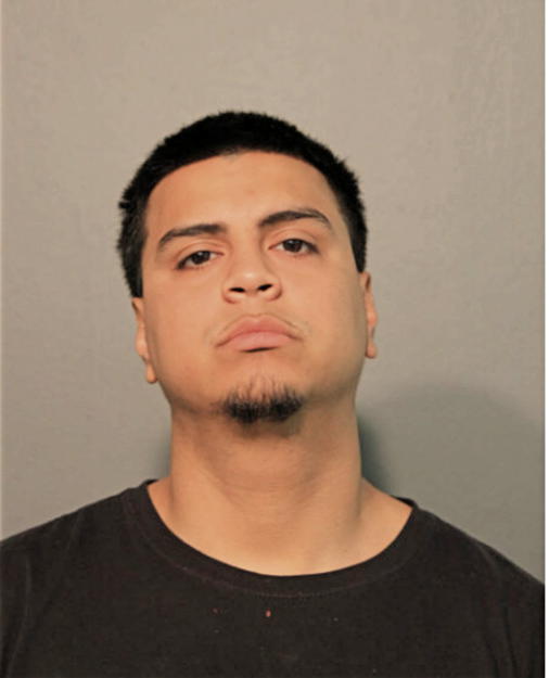 HECTOR N MENDOZA, Cook County, Illinois