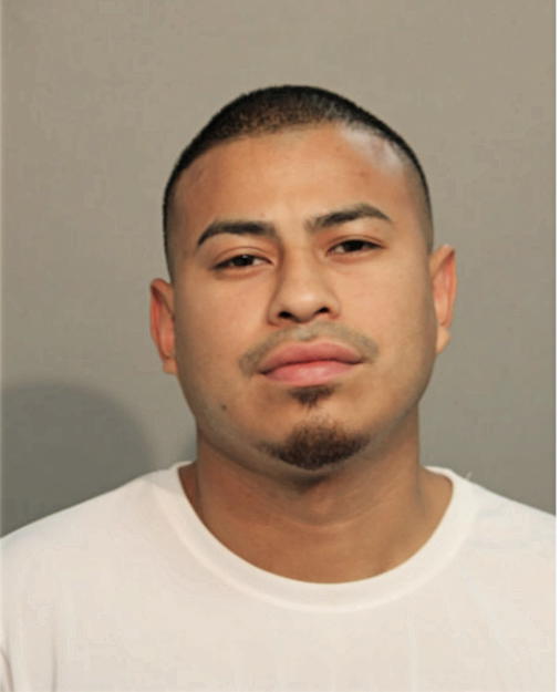 PATRICIO J MENDOZA, Cook County, Illinois