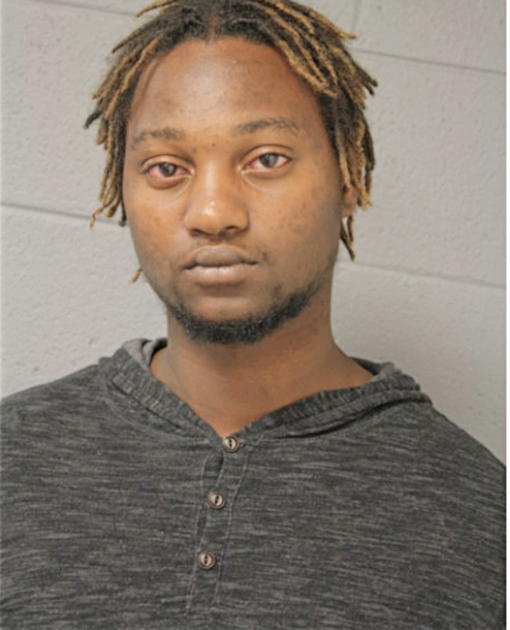 DESMOND D NOBLE, Cook County, Illinois