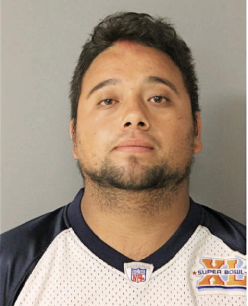 EDGAR R PATINO, Cook County, Illinois