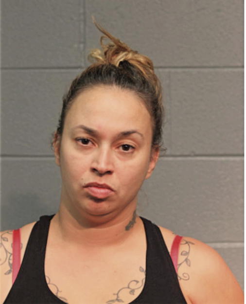 VIRGEN N REYES, Cook County, Illinois