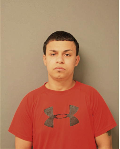 BRANDON L ROSARIO, Cook County, Illinois