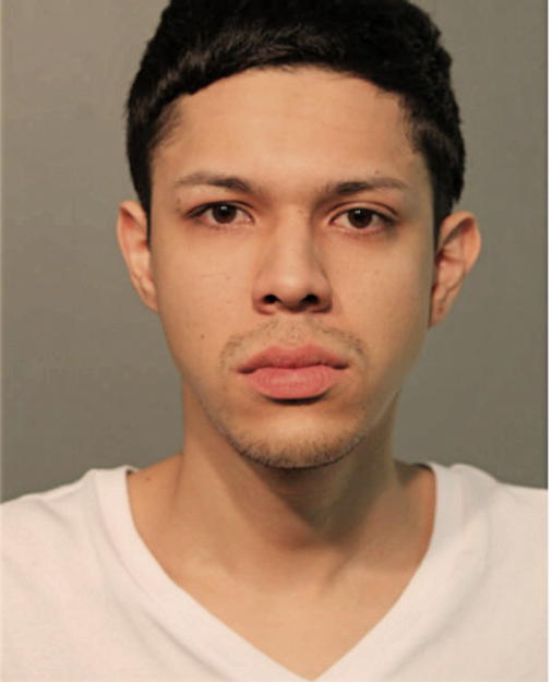 LUIS F RUEDA-CAMACHO, Cook County, Illinois