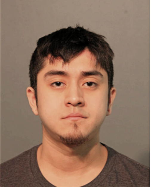 CHRISTIAN A SAMAYOA, Cook County, Illinois