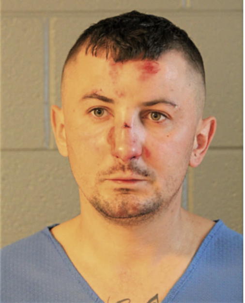 DAWID J SLYSZ, Cook County, Illinois