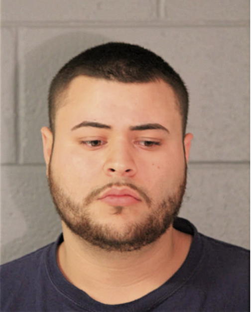MICHAEL A SOTO, Cook County, Illinois
