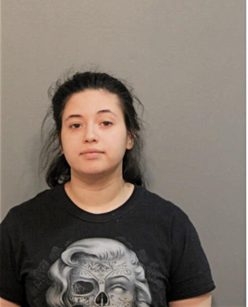 RACHEL S SZWED, Cook County, Illinois