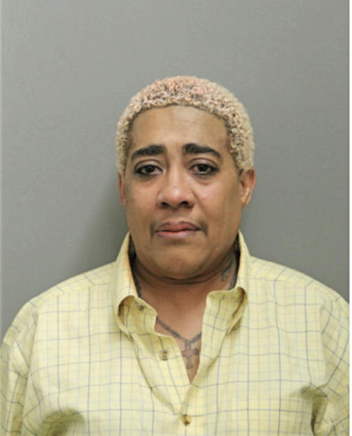 MICHELLE ANTOINETTE TAYLOR, Cook County, Illinois