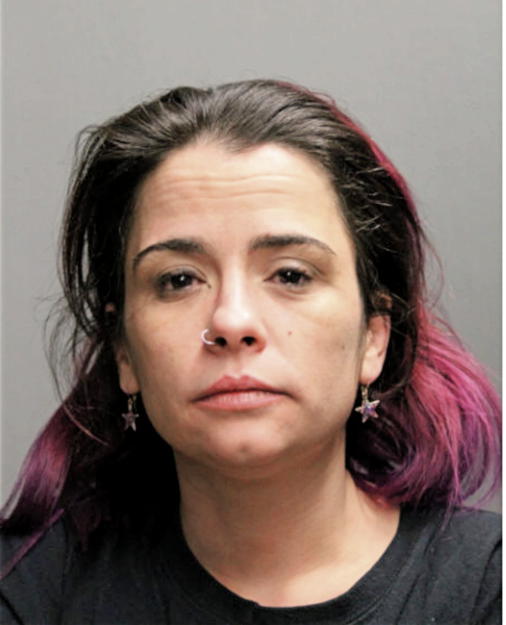 MEGAN LYNN WOODS, Cook County, Illinois