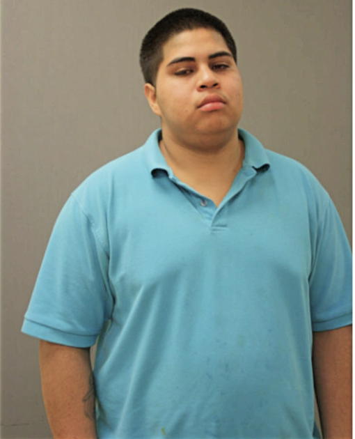 LUIS A AGUILAR-CARMONA, Cook County, Illinois