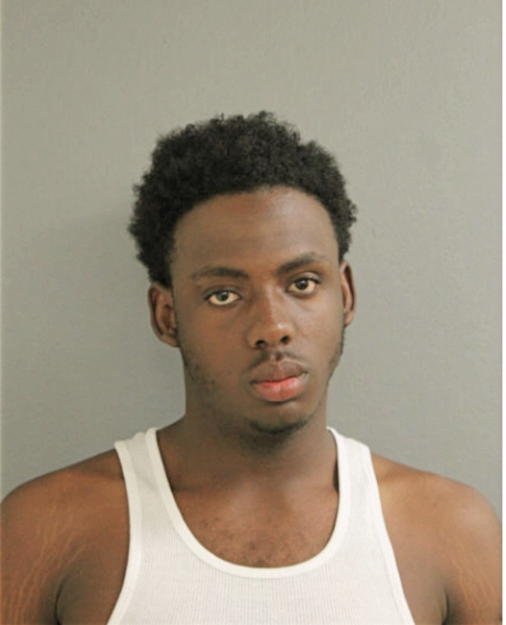 RAYVON ALLISON, Cook County, Illinois