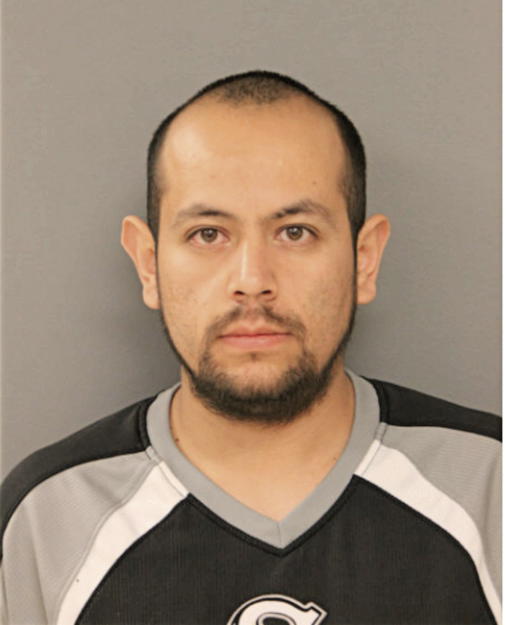 JOSE M GOMEZ GONZALEZ, Cook County, Illinois