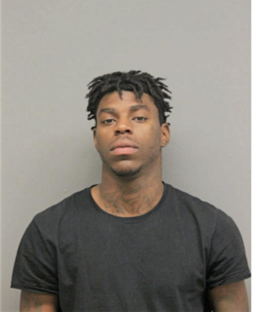 RODNEY L HAYES, Cook County, Illinois