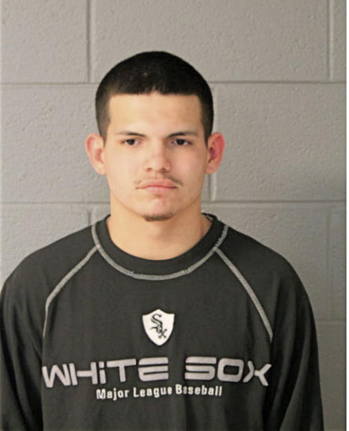 JOSEPH HEINS, Cook County, Illinois