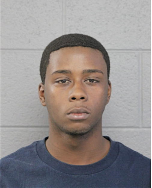 LEON M HORTON, Cook County, Illinois