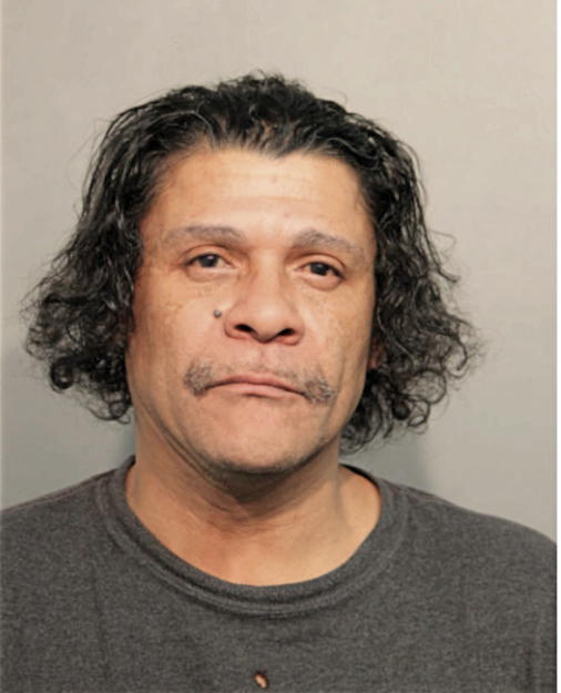ROBERT L JOHNSON, Cook County, Illinois