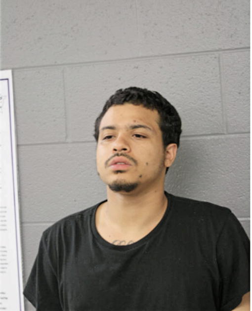 TOBY L JONES, Cook County, Illinois