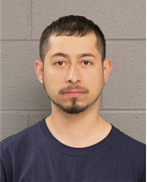 JAIME N MARIN, Cook County, Illinois