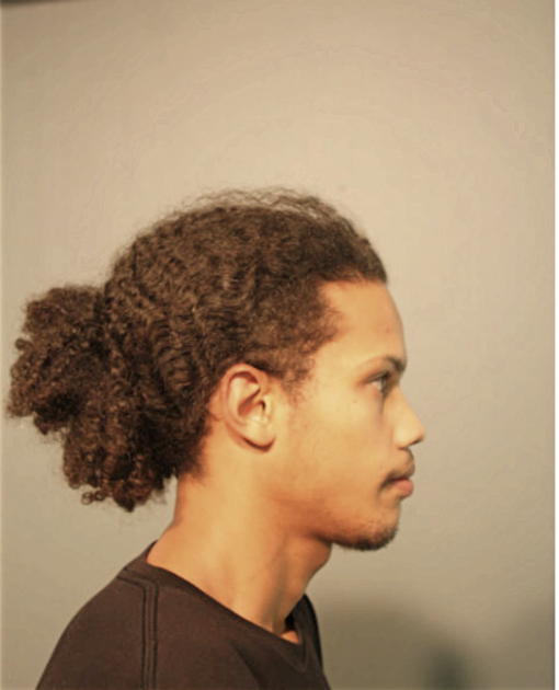ARIEL PELLOT, Cook County, Illinois
