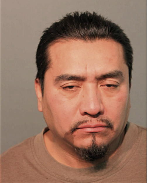 MARIANO PINEDA-CRUZ, Cook County, Illinois