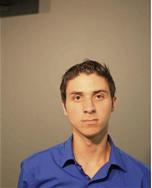 DIEGO A RODRIGUEZ, Cook County, Illinois