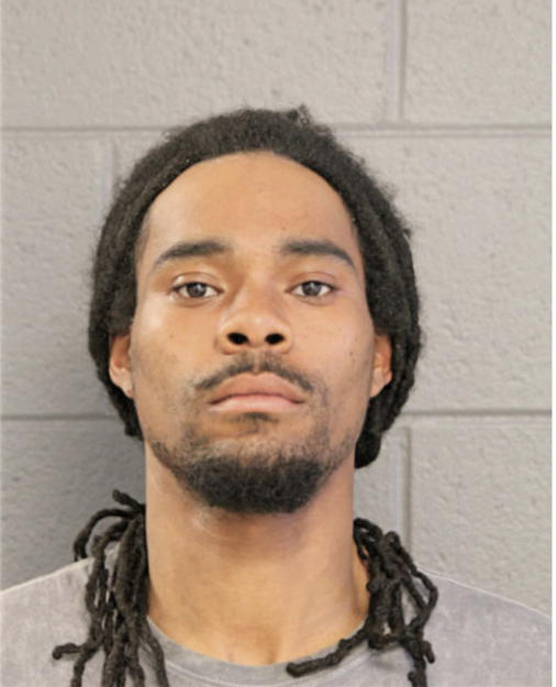 MARK S WATSON, Cook County, Illinois