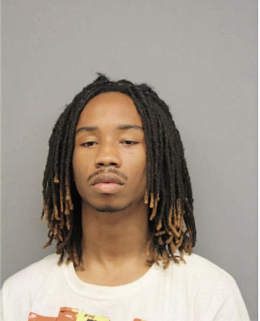 MICHAEL E SHAW, Cook County, Illinois