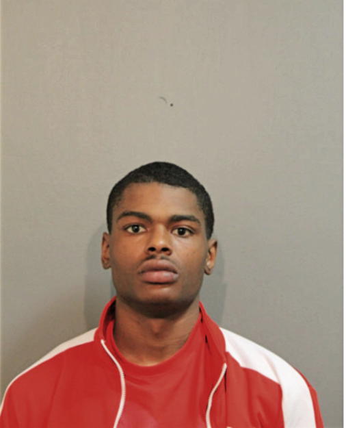 JOSHUA J SMITH, Cook County, Illinois