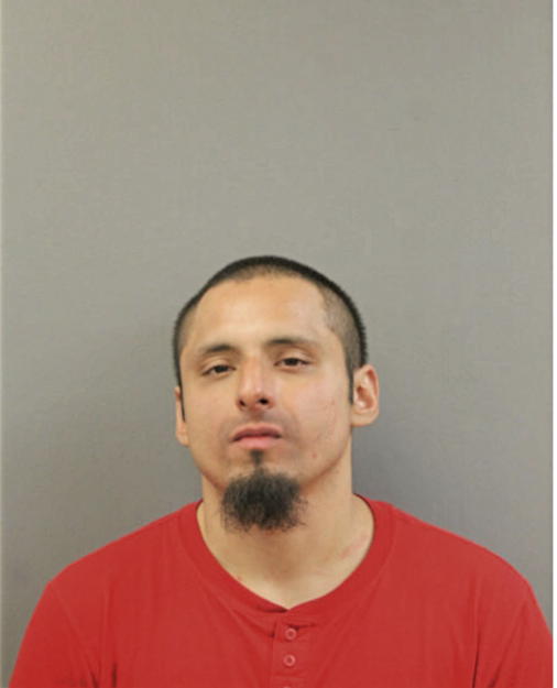 FRANCISCO J VEGA, Cook County, Illinois