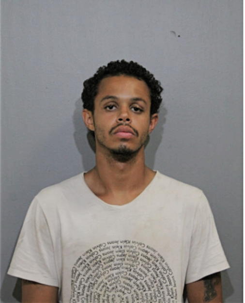 ALLEN DANTE VILLARREAL, Cook County, Illinois