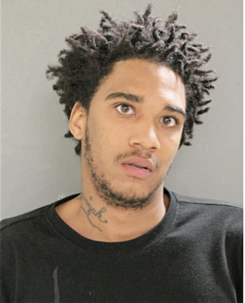 REGINALD D WATKINS, Cook County, Illinois