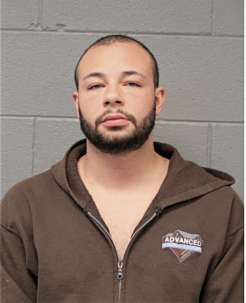 LESHANDON M WATSON, Cook County, Illinois