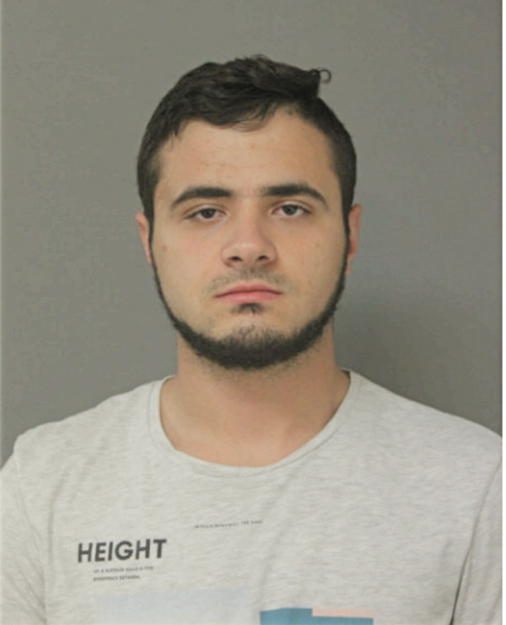 ENID ALIHODZIC, Cook County, Illinois
