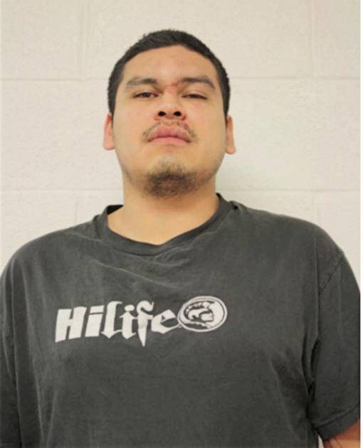 RICARDO ALVEAR-AVILA, Cook County, Illinois
