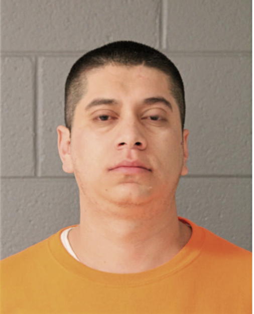 ADAN ANDRADE-CAMPOS-, Cook County, Illinois