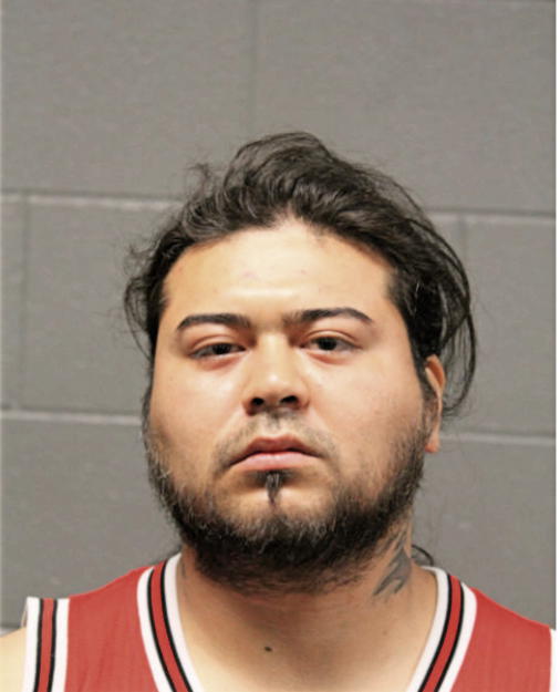 ELIO D ARRECIAS, Cook County, Illinois