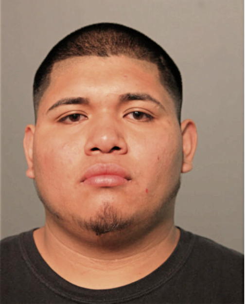 IRVING AVILES, Cook County, Illinois