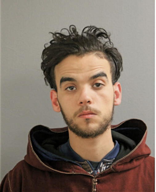 HAMZA BOURICHTE, Cook County, Illinois