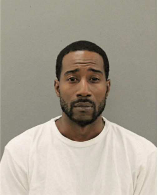 CRAIG M BROWN, Cook County, Illinois