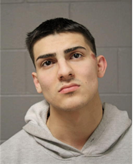 JESSE C CAMPOS, Cook County, Illinois