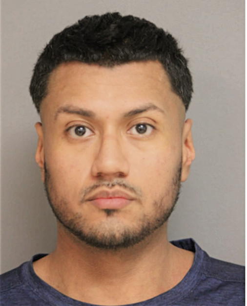 CARLOS DELGADILLO, Cook County, Illinois